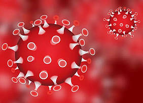 Coronavirus Coronavirus